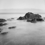 Rocce, acqua e due gabbiani, studio 1