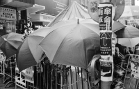 Umbrella Revolution-5