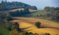 TERRE DEL MONFERRATO