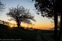 fuori dal bosco