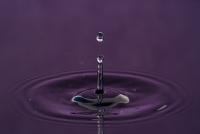 Purple drop
