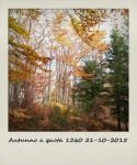 Autunno-a-quota-1230