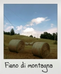 Fieno di montagna