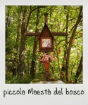 Picola Maestà del bosco