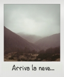 Arriva la neve