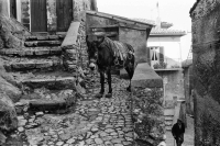 Rocca di Papa 1975