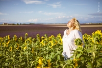 Girasole e lavanda