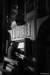 "l'organista"