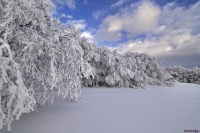 Dopo la nevicata notturna..