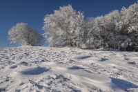 Meraviglie della natura