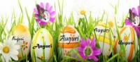 auguri-di-buona-pasqua-2019