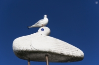 sotto il sole di Riccione