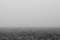 Nebbia e nebbia 27012013-00459-Modifica