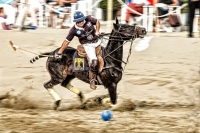 Playing Polo