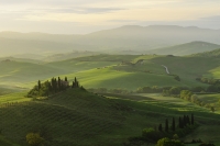 Val D'Orcia  Maggio 2015