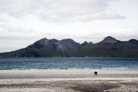 Isle of Eigg (2)