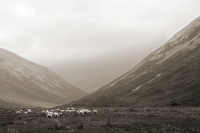 Cuilin Hills, Isle of Skye