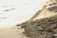 Copia di impronta sulla spiaggia