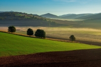 Piana di Colfiorito