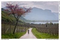 Pista ciclabile presso il Lago di Caldaro