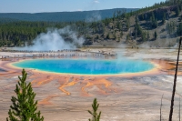 Grand Prismatic Spring, Yellowstone WY