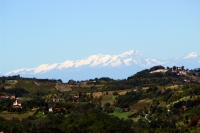 Alpi