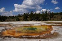 Yellowstone National Park