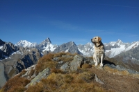 Paesaggi valdostani di settembre