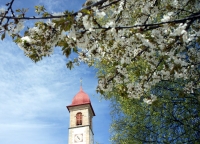 Campanile sotto al Pesco (Pietralba)