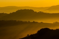 Crete senesi - Alba dorata