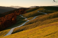 Autumn road