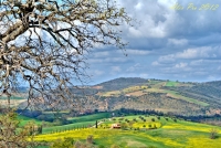 Maremma grossetana