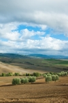 Val d'Orcia [2012]