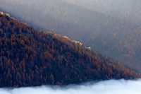 Sopra un mare di nebbia