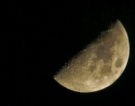 luna a 300mm+TC2X....