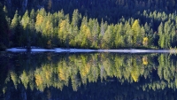 riflessi sul lago di Tovel