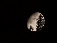 Luna - Tramonto in Val Calamento (Tn)