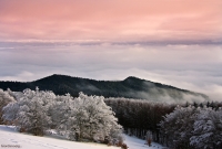 Le Foreste Casentinesi