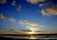 Tramonto sulla riserva dello stagnone Marsala