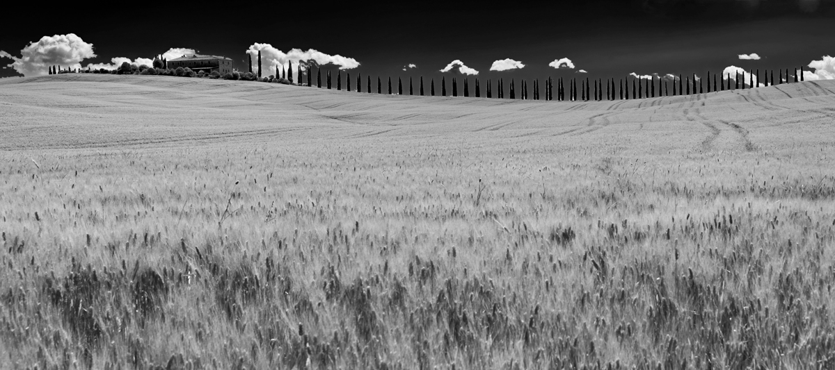 P val d'orcia 2 bn