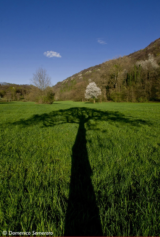 (Paesaggio) Ombra di primavera