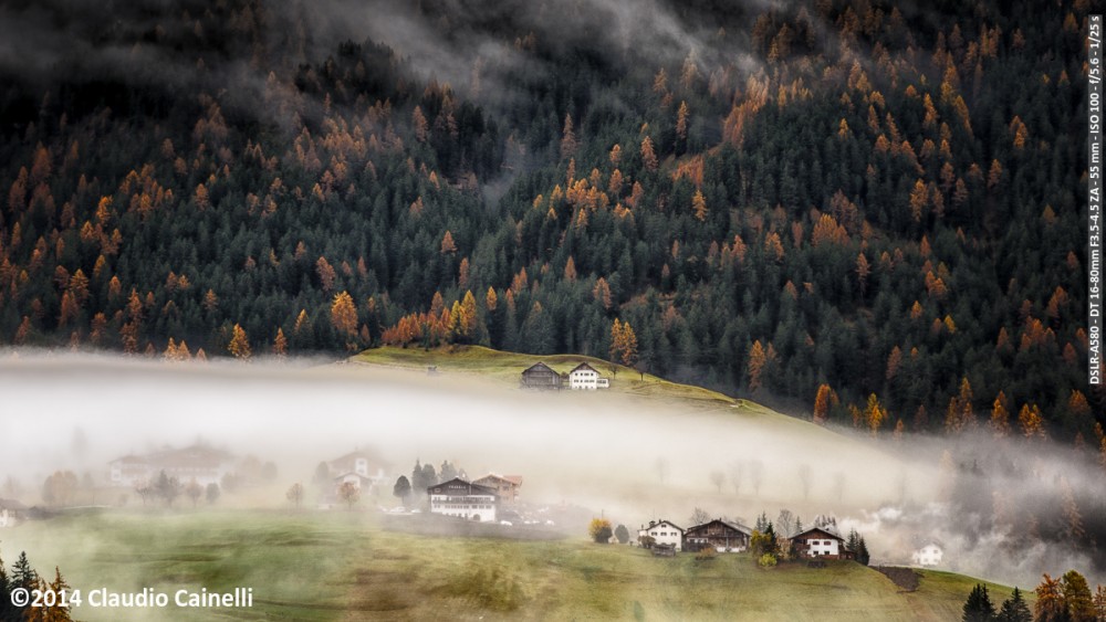 Nebbia mattutina