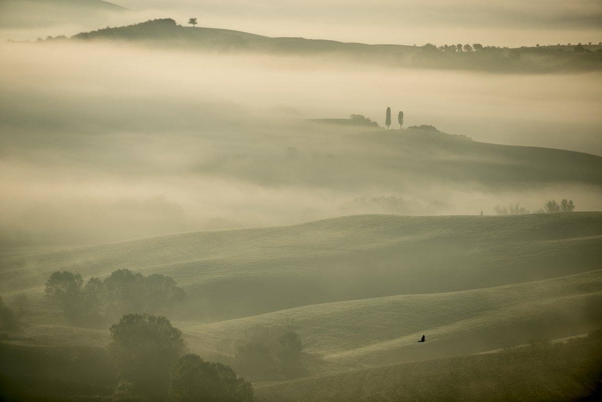 Nebbia