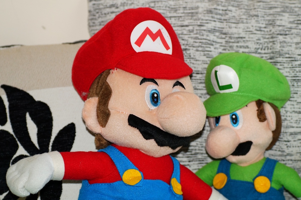 Mario & Luigi due grandi fratelli