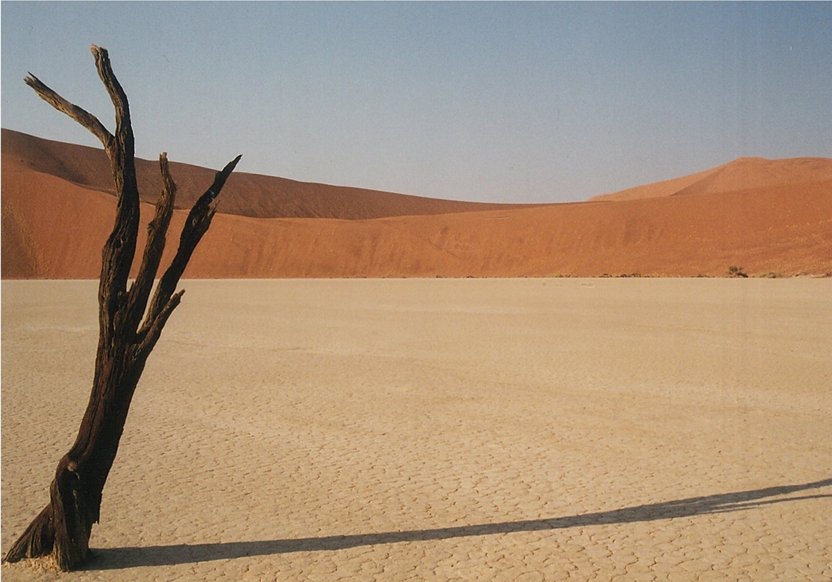 dead vlei