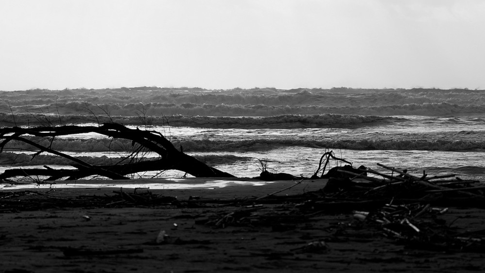 arriverà l'estate....