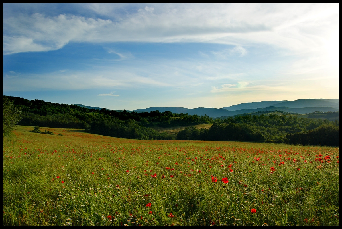 nostalgica (été dans mon pays)