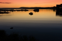 Hamar, Lago Mjosa