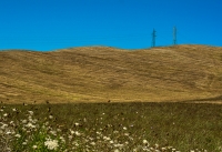 campagna toscana