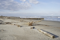 Delta del Po. Spiaggia di Boccasette.